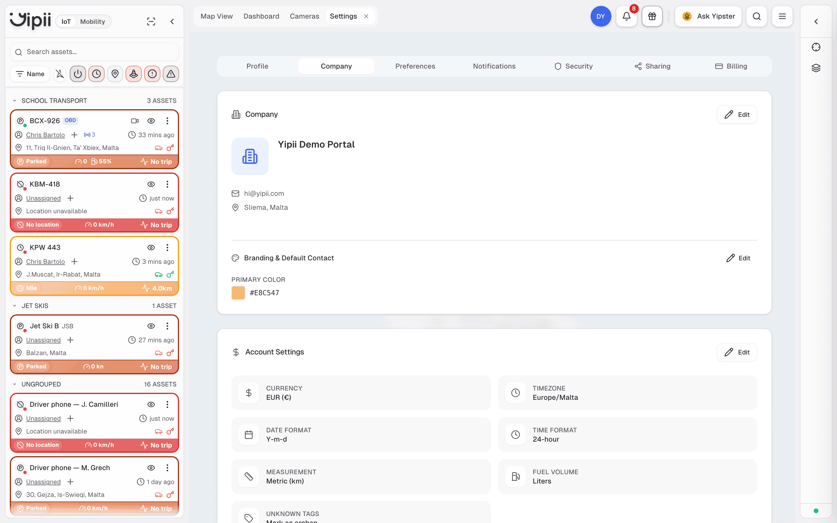 The Company tab with the Branding & Default Contact section and its primary colour